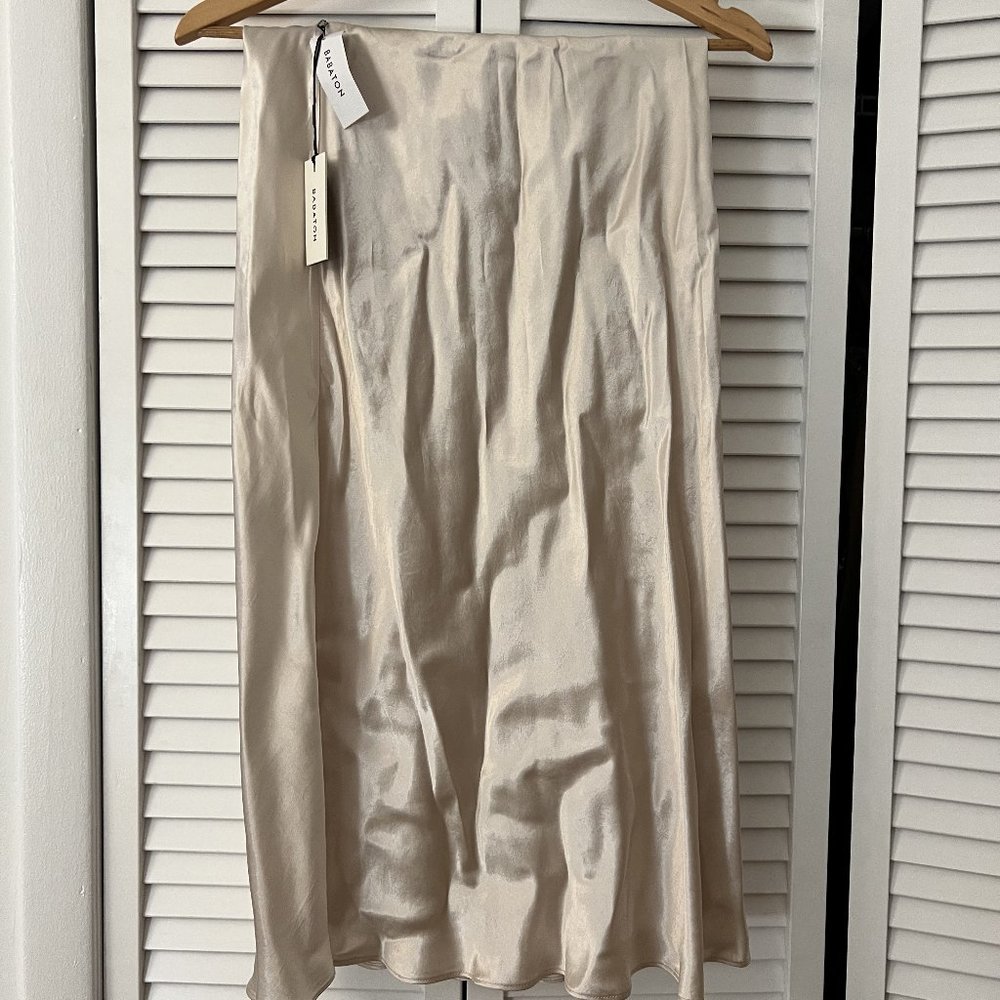 Babaton (Aritzia) Silk Midi Skirt
